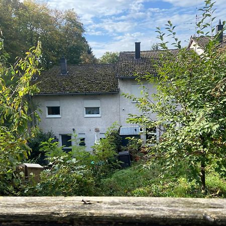 In Saarbruecken Stadtnahe Gemuetliche Wohnung Am Deutsch-Franzoesischen Garten Exteriör bild