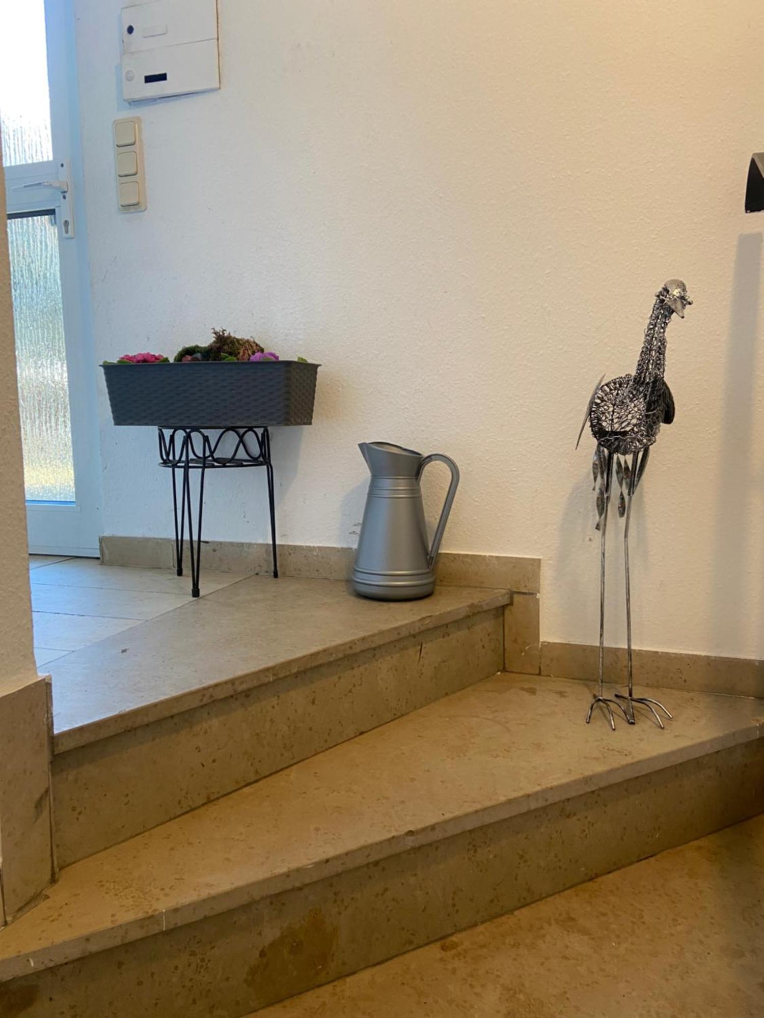 In Saarbruecken Stadtnahe Gemuetliche Wohnung Am Deutsch-Franzoesischen Garten Exteriör bild