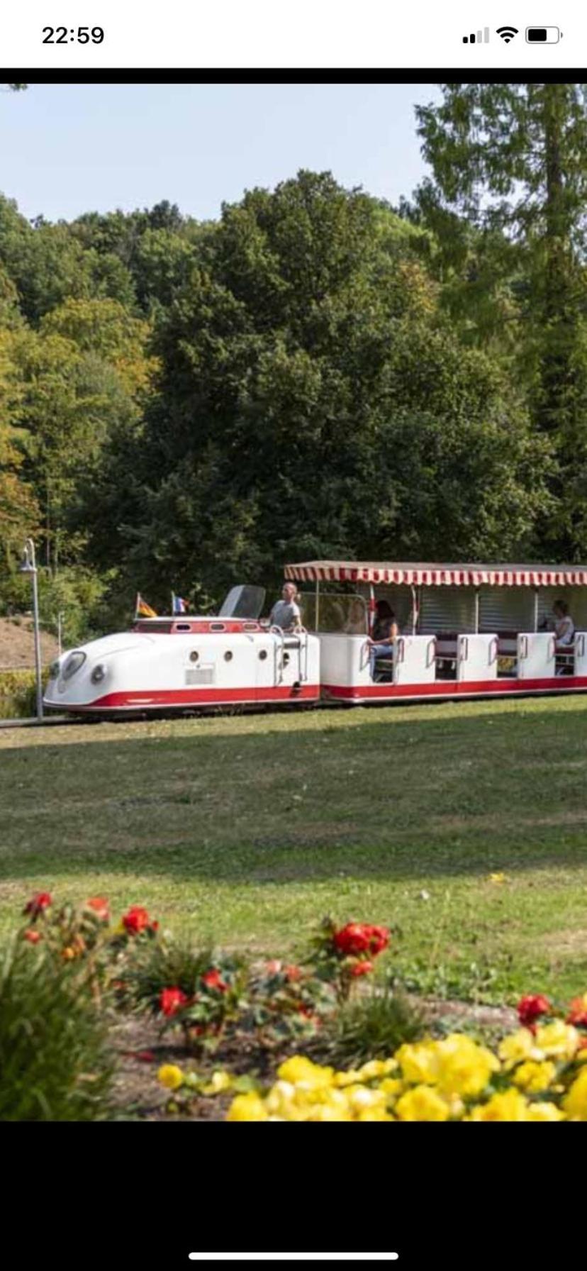 In Saarbruecken Stadtnahe Gemuetliche Wohnung Am Deutsch-Franzoesischen Garten Exteriör bild