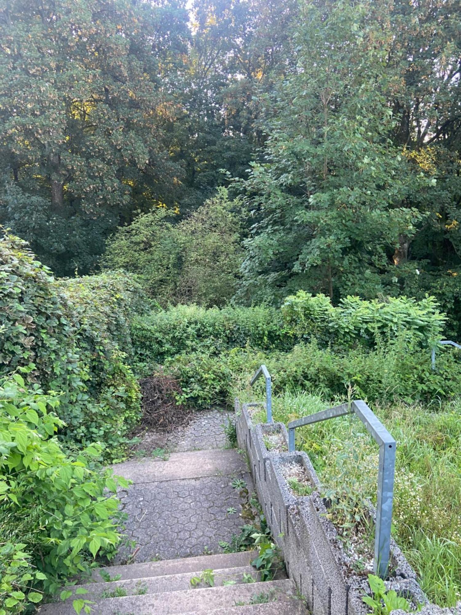 In Saarbruecken Stadtnahe Gemuetliche Wohnung Am Deutsch-Franzoesischen Garten Exteriör bild